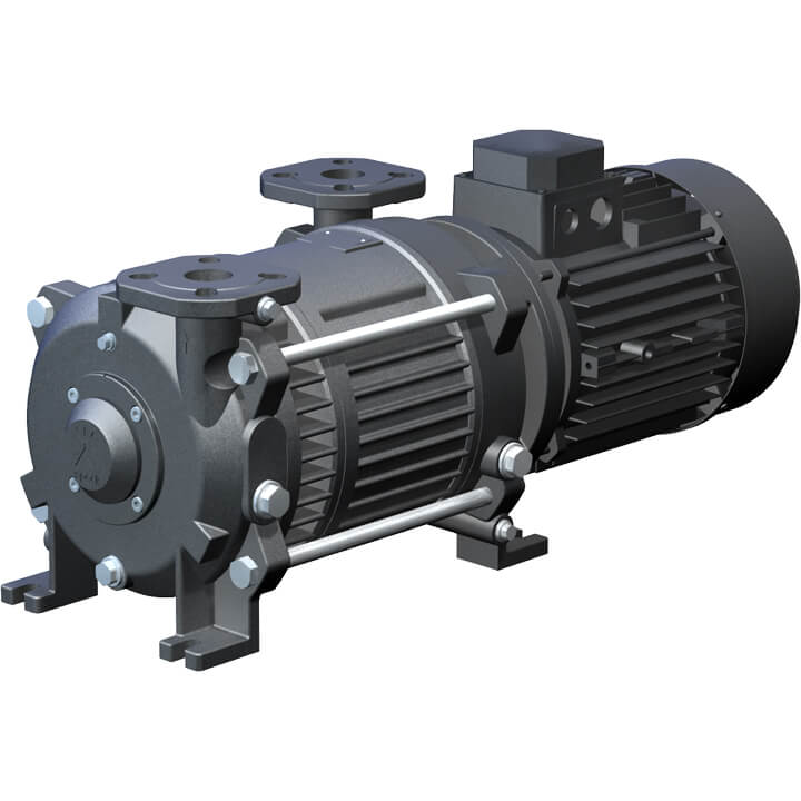 Vacuum pump VZ-110 / 140 / 180 - SPECK Pumps