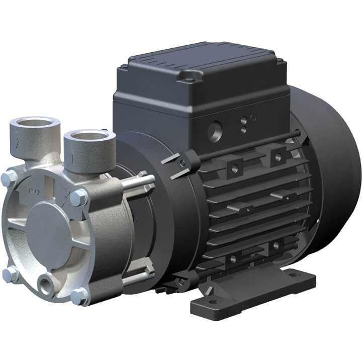 Hoved Kærlig te Regenerative turbine pump Y-4081 - SPECK Pumps